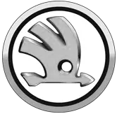 Skoda Servicing